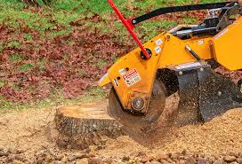 Best Pest Control for Lawns  in Washingtonville, NY